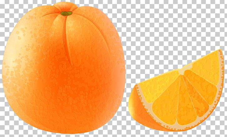 File Formats Lossless Compression PNG, Clipart, Calabaza, Citric Acid, Citrus, Clementine, Clipart Free PNG Download