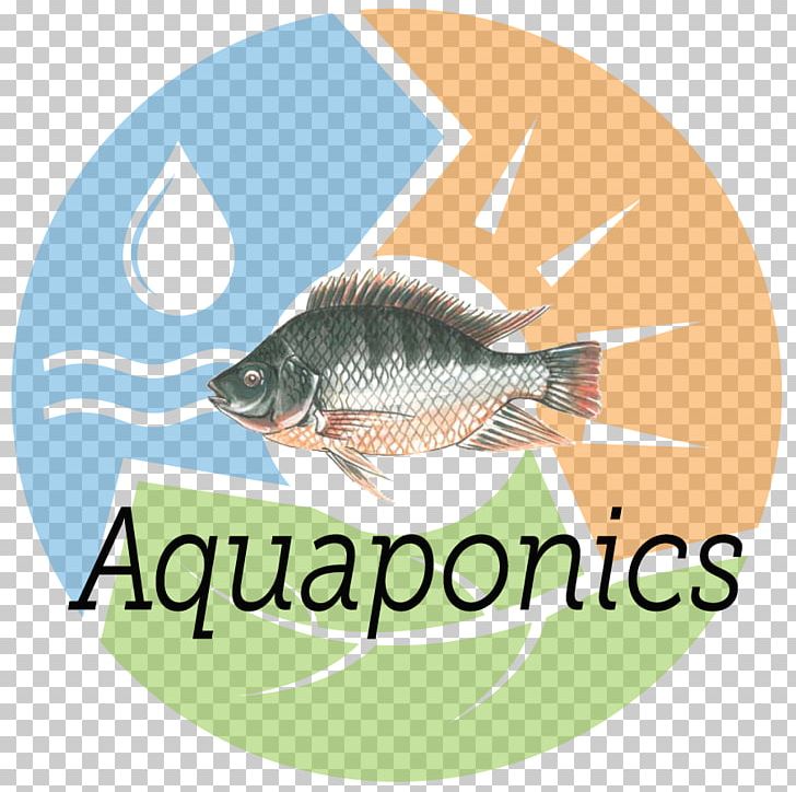 Logo Fauna Brand Scrum Font PNG, Clipart, Brand, Fauna, Fish, Logo, Organism Free PNG Download