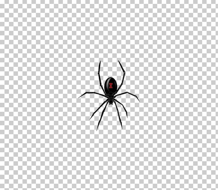 Widow Spiders Insect Friday The 13th T-shirt PNG, Clipart, Arachnid, Arthropod, Computer Wallpaper, Friday, Friday The 13th Free PNG Download