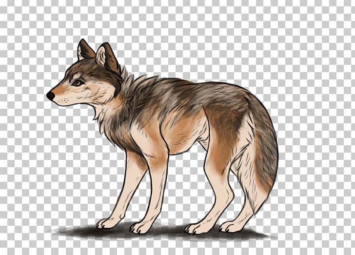 Jackal Red Fox Coyote Red Wolf By Jennifer Ashley PNG, Clipart, Carnivoran, Coyote, Dog Like Mammal, Fauna, Jackal Free PNG Download