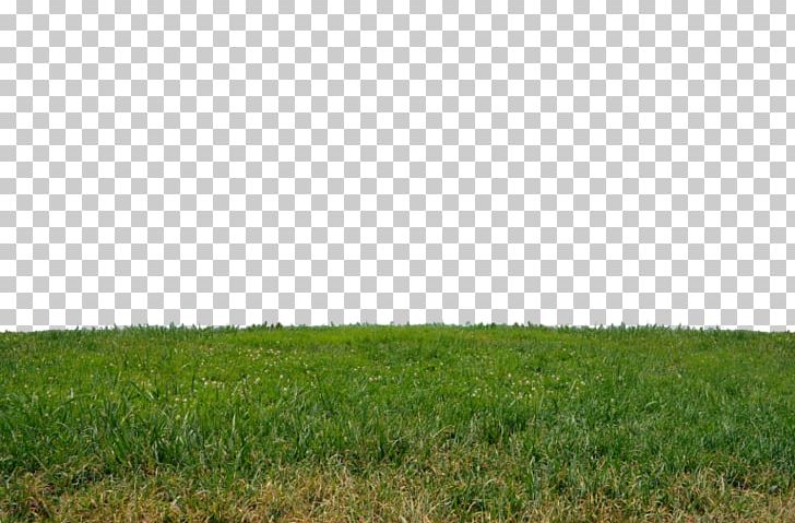 Lawn Garden PNG, Clipart, Agriculture, Computer Icons, Crop, Ecoregion, Ecosystem Free PNG Download