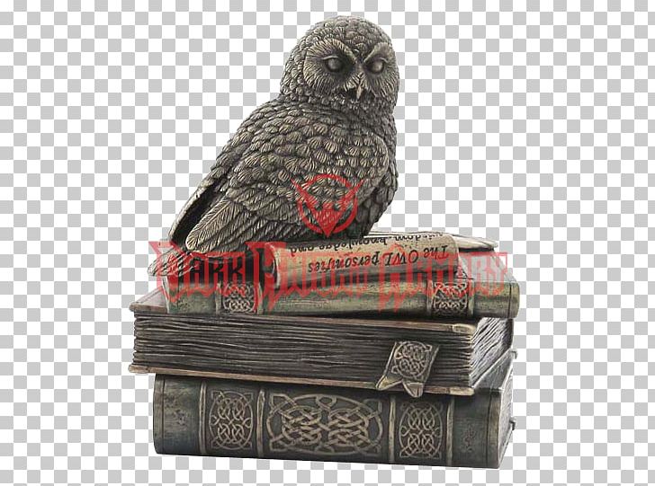 Snowy Owl Bronze Book Box PNG, Clipart, Animals, Beak, Bird Of Prey, Book, Box Free PNG Download