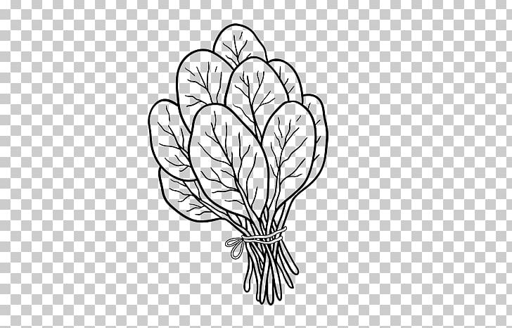 Spinach Salad Coloring Book Drawing Spinach Soup PNG, Clipart, Black And White, Branch, Flora, Floral Design, Flower Free PNG Download