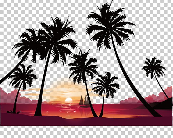 Sunset High-definition Video Resolution PNG, Clipart, Beach, Borassus Flabellifer, Computer, Computer Wallpaper, Desktop Wallpaper Free PNG Download
