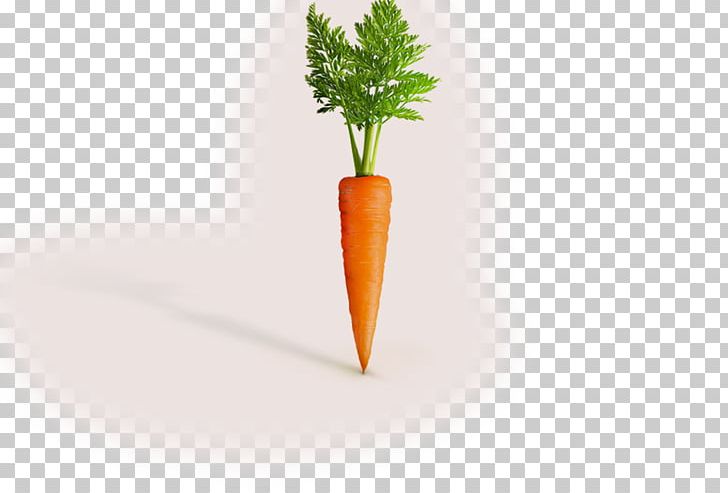 Flowerpot PNG, Clipart, Carrot, Flowerpot, Food, Others, Plant Stem Free PNG Download