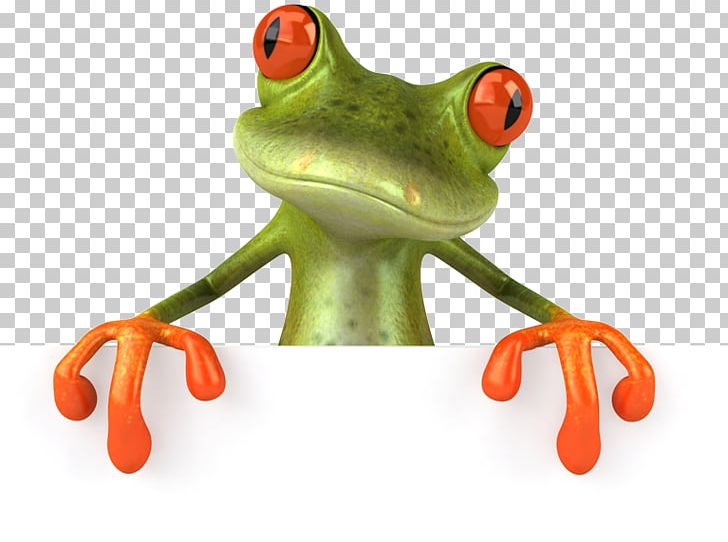 Frog Stock Photography Toad PNG, Clipart, Amphibian, Animals, Can Stock Photo, Cartoon, Depositphotos Free PNG Download