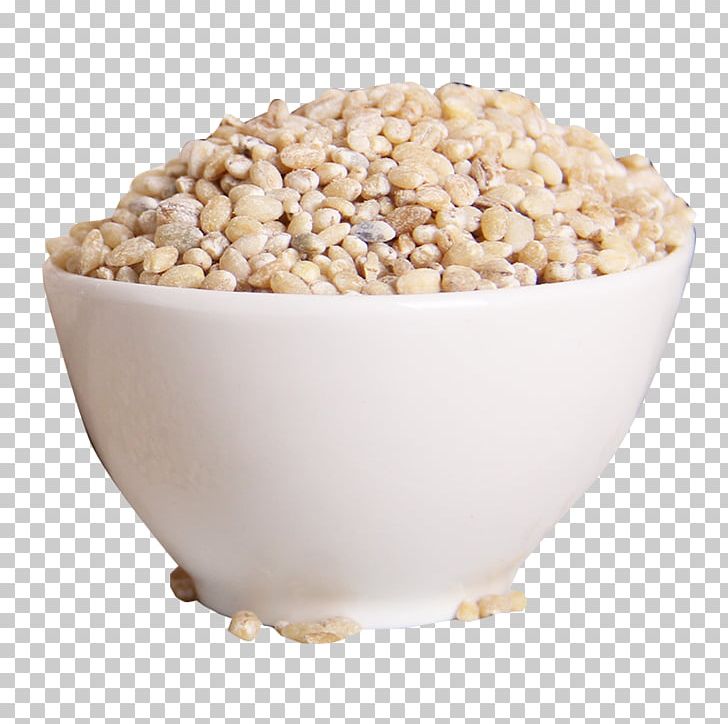 Rice Cereal Congee Barley PNG, Clipart, Brewing, Broomcorn, Caryopsis, Cereal, Cereals Free PNG Download