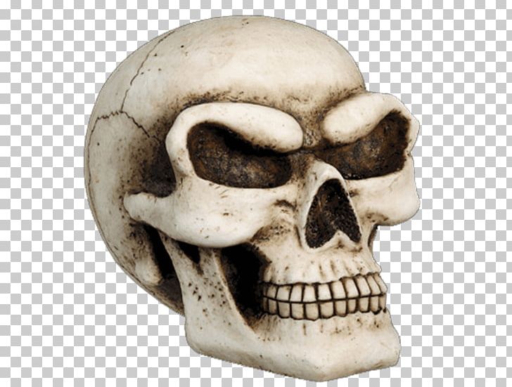 Skull Human Skeleton Bank Jaw PNG, Clipart, Bank, Bone, Fantasy, Head, Human Skeleton Free PNG Download