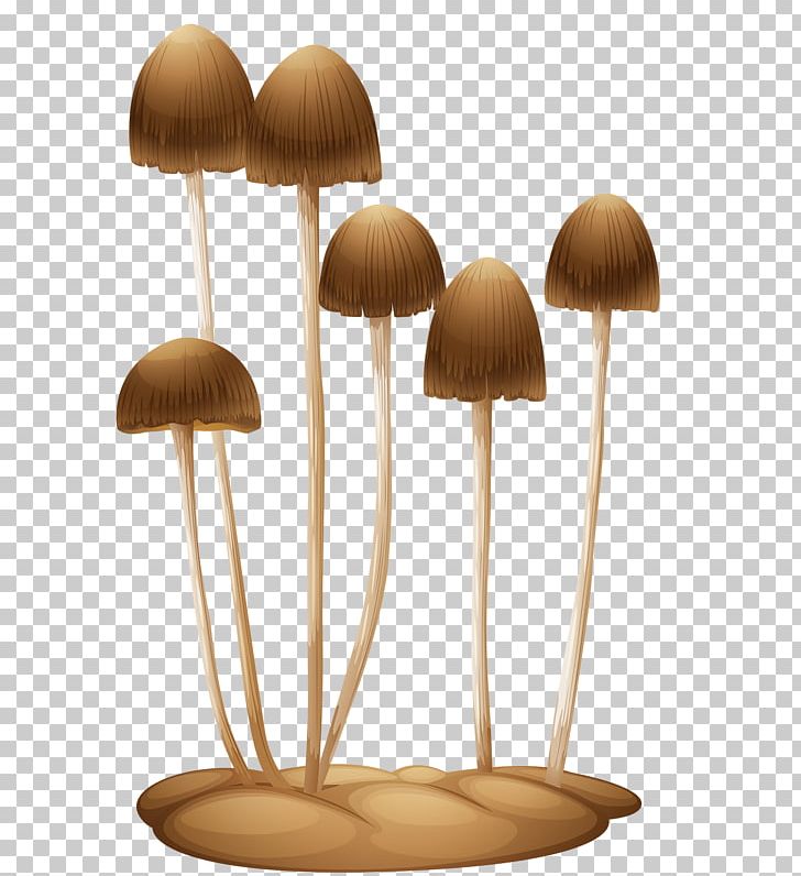 Stock Photography Fungus PNG, Clipart, Basidiospore, Brush, Fungus, Mexicana, Mushroom Free PNG Download