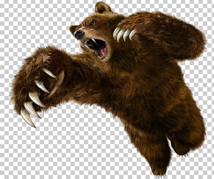 Tekken 5 Tekken 6: Bloodline Rebellion Angry Bear PNG, Clipart, Android, Angry, Angry Bear, Animals, Bear Free PNG Download