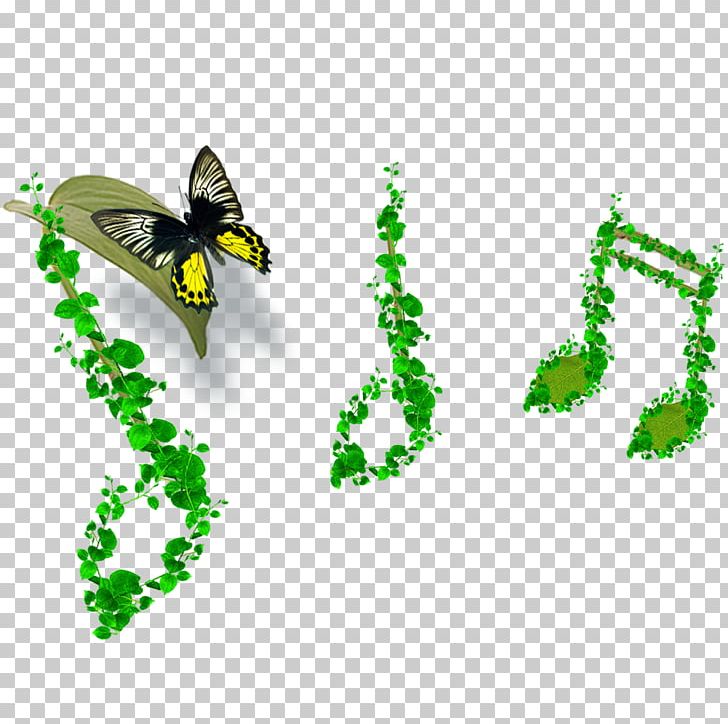 Violin Musical Note Musical Instrument String PNG, Clipart, Basi, Butterfly, Concert, Creative, Creative Note Free PNG Download