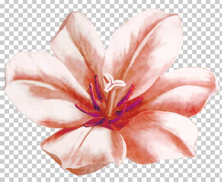 Watercolor Painting Flower Euclidean PNG, Clipart, Botany, Computer Icons, Decorative Flowers, Flowers, Flowers And Plants Free PNG Download