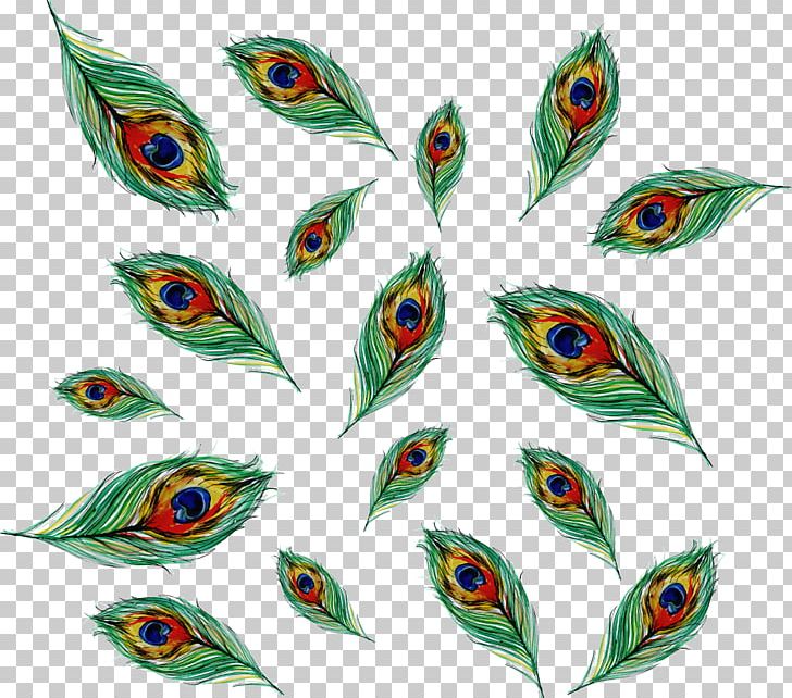 Bird Feather Asiatic Peafowl Euclidean PNG, Clipart, Animals, Asiatic Peafowl, Background, Color, Colour Free PNG Download