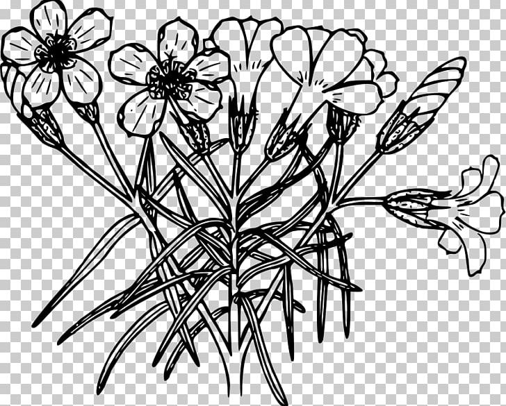 Drawing Line Art Coloring Book PNG, Clipart, Artwork, Black And White, Botanical Illustration, Branch, Flora Free PNG Download