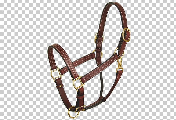 Halter Horse Leather Bridle Horze PNG, Clipart, Animals, Bridle, Classic, Coupon, Equestrian Free PNG Download
