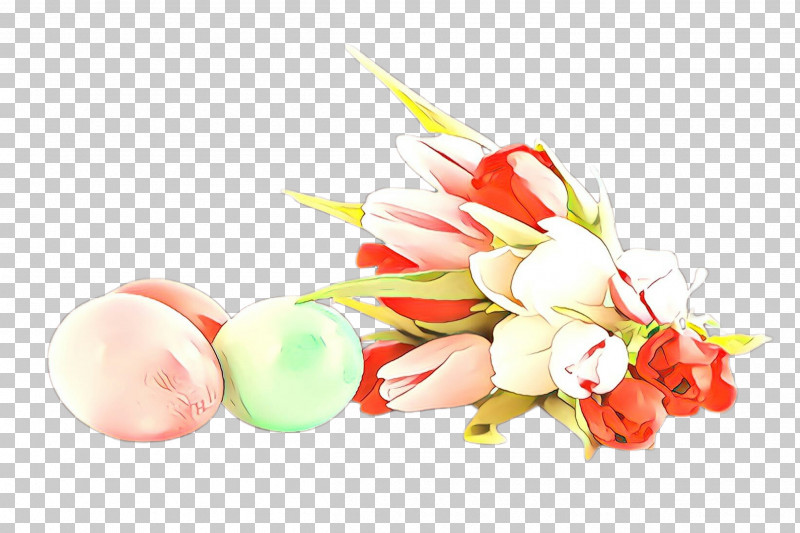 Pink Tulip Cut Flowers Flower Plant PNG, Clipart, Anthurium, Bouquet, Cut Flowers, Flower, Pink Free PNG Download