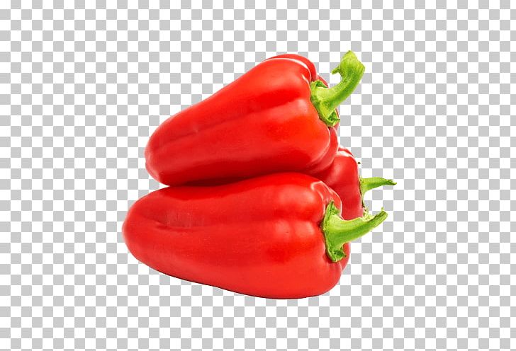 Piquillo Pepper Habanero Jalapeño Serrano Pepper Bird's Eye Chili PNG, Clipart,  Free PNG Download