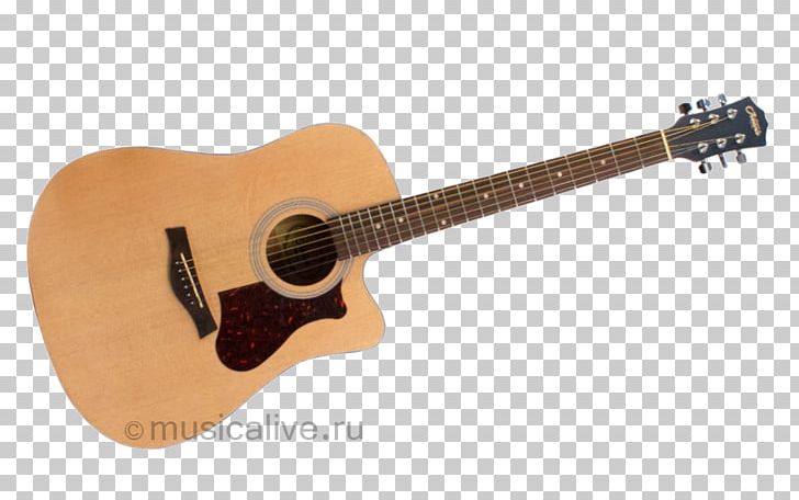 Acoustic Guitar Tiple Greg Bennett Guitars Bass Guitar Cavaquinho PNG, Clipart, Acoustic Electric Guitar, Guitar Accessory, Music, Musical Instrument, Musical Instruments Free PNG Download