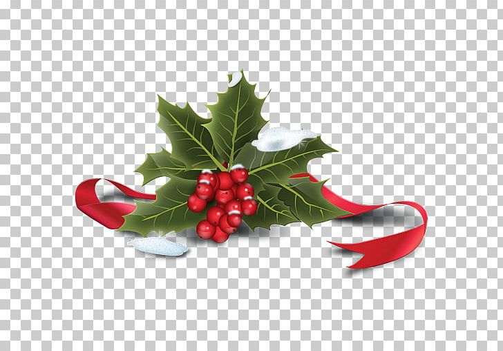 Common Holly Santa Claus Computer Icons Christmas PNG, Clipart, Aquifoliaceae, Aquifoliales, Christmas, Christmas And Holiday Season, Christmas Decoration Free PNG Download