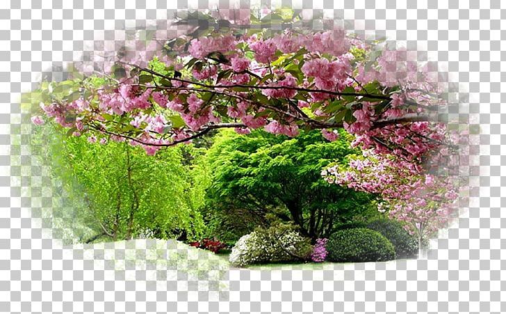Desktop High-definition Television Display Resolution Garden Mobile Phones PNG, Clipart, 720p, 1080p, Computer Monitors, Desktop Wallpaper, Display Resolution Free PNG Download