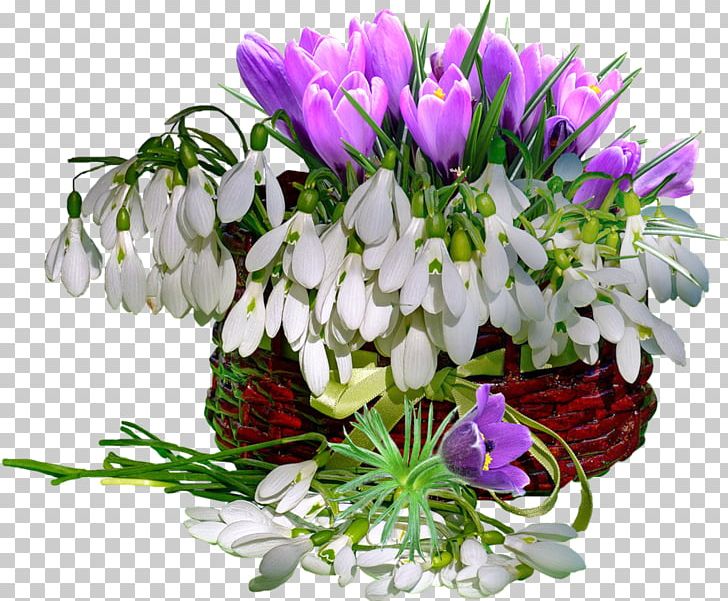 Flower Desktop PNG, Clipart, Bine, Cut Flowers, Desktop Wallpaper, Download, Floral Design Free PNG Download