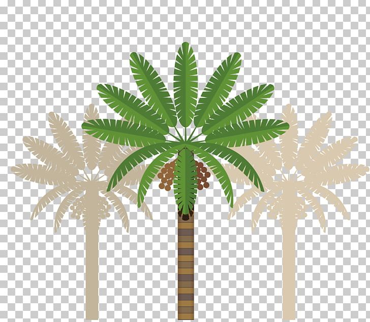 Abu Dhabi Dubai PNG, Clipart, Arecales, Autumn Tree, Christmas Tree, Coconut, Family Tree Free PNG Download