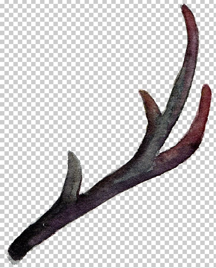 Antler Horn Watercolor Painting PNG, Clipart, Antler, Autumn Leaves, Falling, Fall Leaves, Horn Free PNG Download