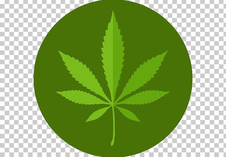 Medical Cannabis Kush Medical Marijuana Card Icon PNG, Clipart, Cannabis, Cannabis Cultivation, Cannabis Png, Cannabis Sativa, Cannabis Shop Free PNG Download
