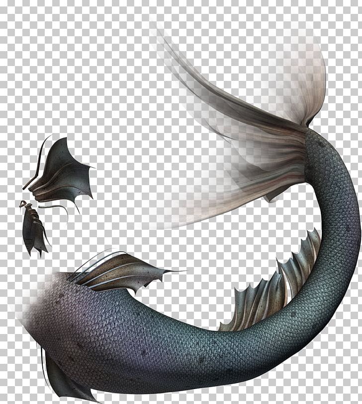 Rusalka PNG, Clipart, Digital Image, Fish, Information, Jaw, Marine Mammal Free PNG Download