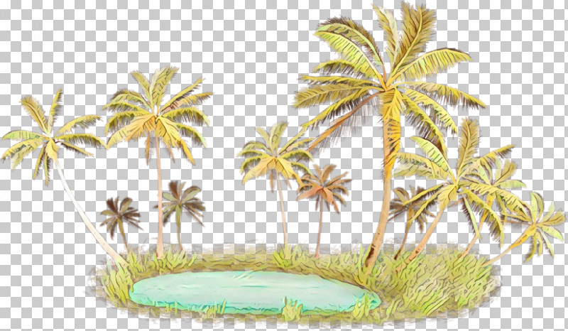 Palm Tree PNG, Clipart, Arecales, Leaf, Palm Tree, Plant Free PNG Download
