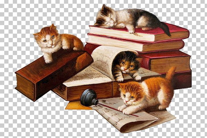 Cat Literature Romanticism Drawing Literary Realism PNG, Clipart, Animals, Animation, Blog, Book, Box Free PNG Download