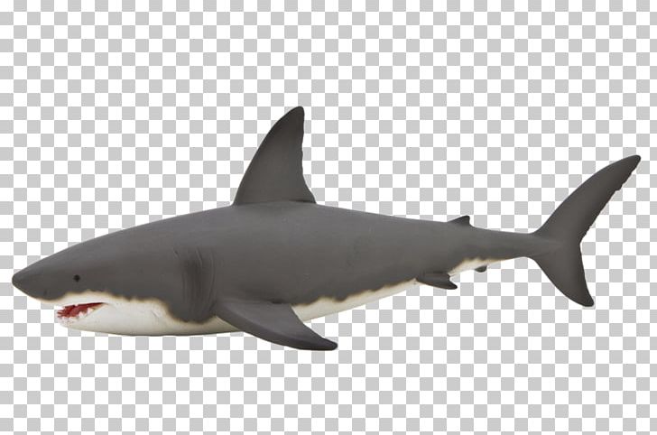 Great White Shark Hammerhead Shark Whale Shark Isurus Oxyrinchus PNG, Clipart, Action Toy Figures, Animal, Animal Figurine, Carcharodon, Cartilaginous Fish Free PNG Download