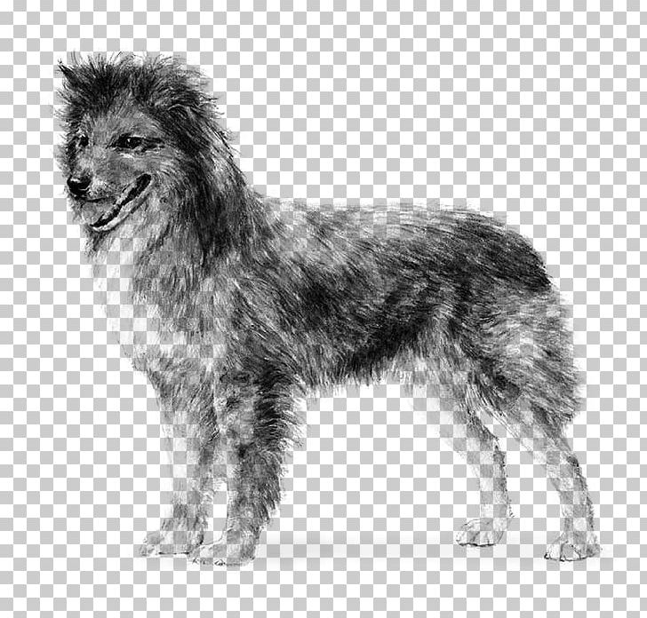 Pyrenean Shepherd Great Pyrenees German Shepherd Old English Sheepdog Smooth Collie PNG, Clipart, Black And White, Breed, Breed, Carnivoran, Collie Free PNG Download