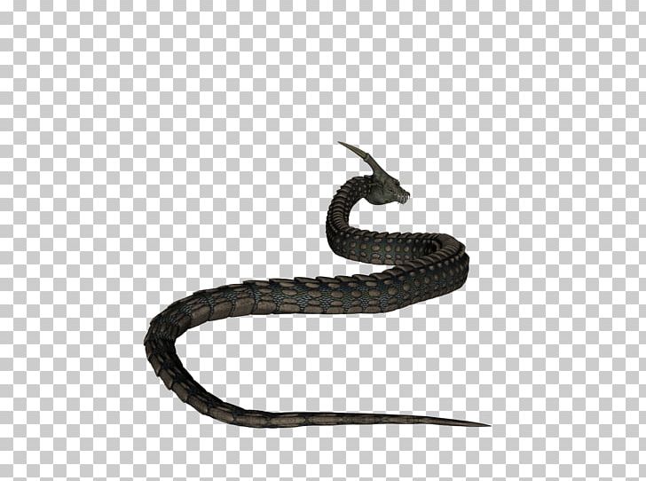 Rattlesnake Vipers Kingsnakes Product PNG, Clipart, Elapidae, Kingsnake, Kingsnakes, Mamba, Rattlesnake Free PNG Download