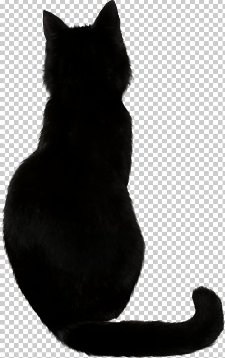 Bombay Cat Black Cat PNG, Clipart, Abyssinian, Animals, Black, Black And White, Black Cat Free PNG Download