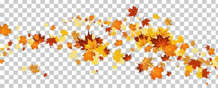 Image File Formats Leaf Orange PNG, Clipart, Autumn, Autumn Leaf Color, Autumn Leaves, Branch, Clip Art Free PNG Download