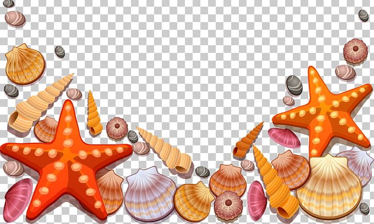seashell cartoon images