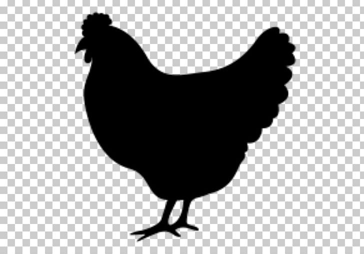 Silkie Buffalo Wing Chicken Meat Poultry Food PNG, Clipart, Beak, Bird, Black And White, Buffalo Wing, Chicken Free PNG Download