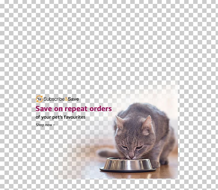 Cat Food Kitten Dog Purina One PNG, Clipart, Animals, Carnivoran, Cat, Cat Food, Cat Like Mammal Free PNG Download