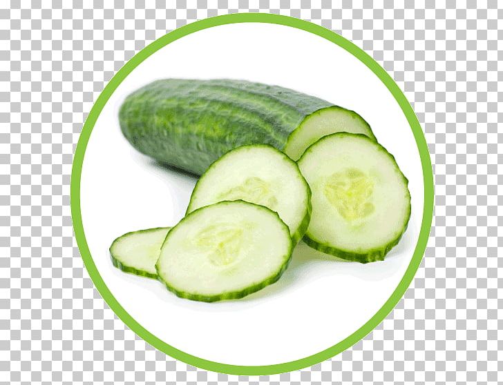 Cucumber Fruit Vegetable Zucchini PNG, Clipart, Cucumber, Cucumber Gourd And Melon Family, Cucumis, Eating, Food Free PNG Download