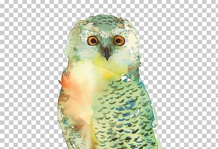 Owl T-shirt Bird Paper Watercolor Painting PNG, Clipart, Animal, Animals, Art, Barn Owl, Beak Free PNG Download