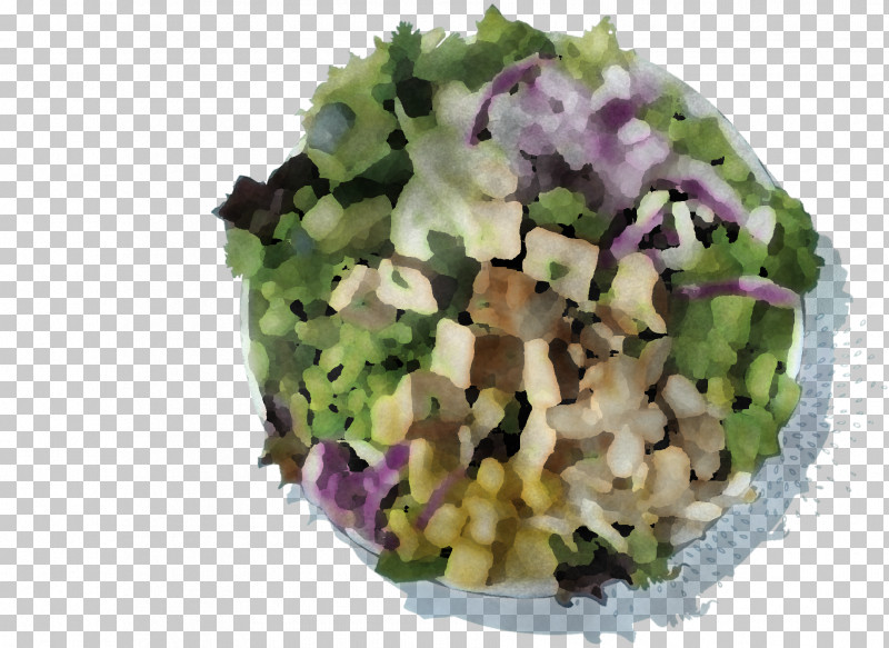 Salad PNG, Clipart, Hahn Hotels Of Sulphur Springs Llc, Leaf Vegetable, Salad, Superfood, Vegetable Free PNG Download