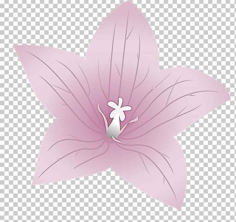 Balloon Flower PNG, Clipart, Balloon Flower, Flora, Flower, Lilac M, Petal Free PNG Download