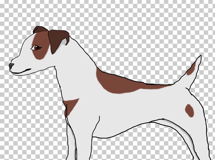 Dog Breed Jack Russell Terrier Italian Greyhound Puppy PNG, Clipart, Animals, Breed, Carnivoran, Dog, Dog Breed Free PNG Download