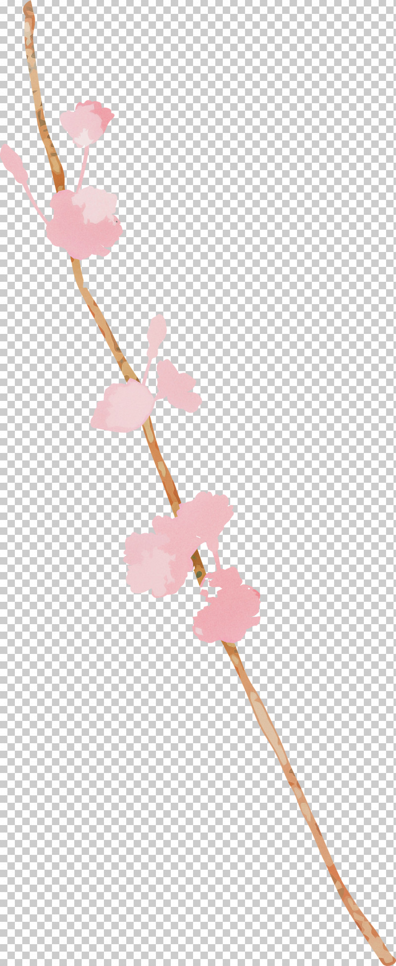 Cherry Blossom PNG, Clipart, Blossom, Cherry Blossom, Flower, Pedicel, Pink Free PNG Download