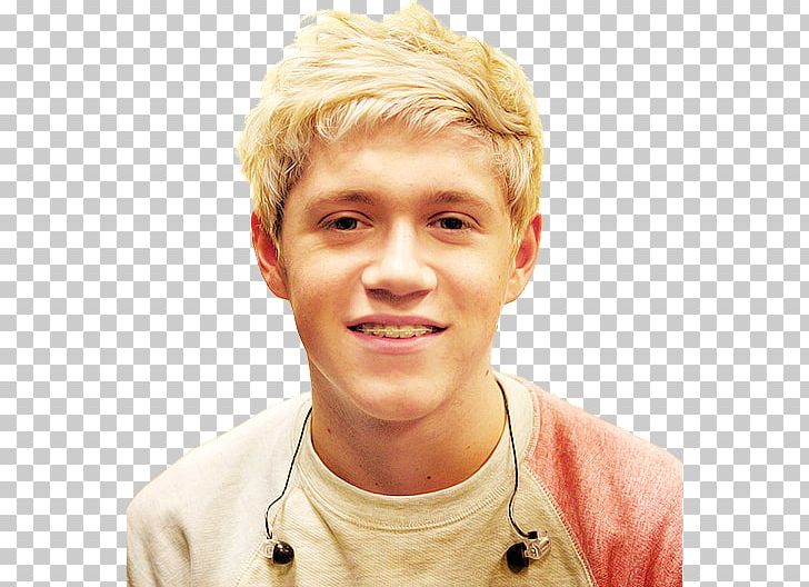 Niall Horan One Direction Mullingar PNG, Clipart, Blond, Boy, Cheek, Chin, Deviantart Free PNG Download