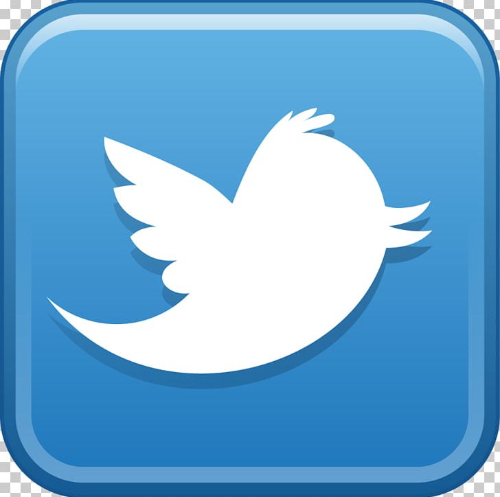Social Media Logo PNG, Clipart, Beak, Bird, Blog, Child, Computer Icons Free PNG Download