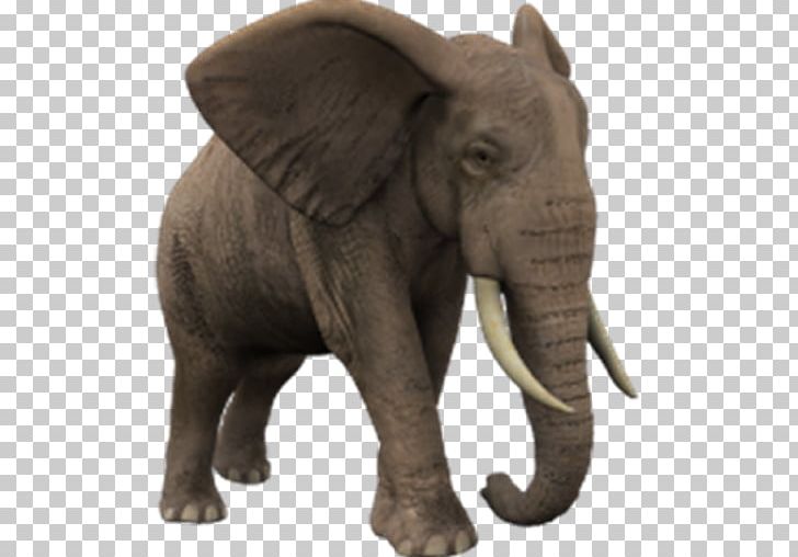 African Elephant Elephantidae PNG, Clipart, African Elephant, Animal, Animation, Desktop Wallpaper, Elephant Free PNG Download