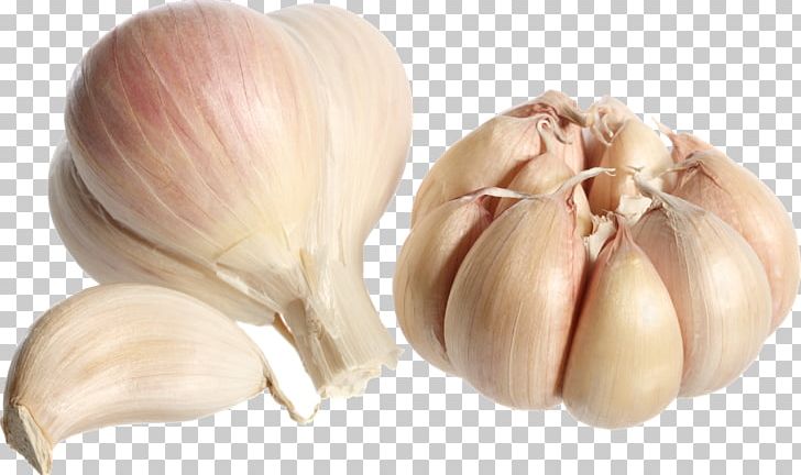 Coffee Garlic Food Onion PNG, Clipart, Allicin, Basil, Bulb, Chinese Cinnamon, Clip Art Free PNG Download