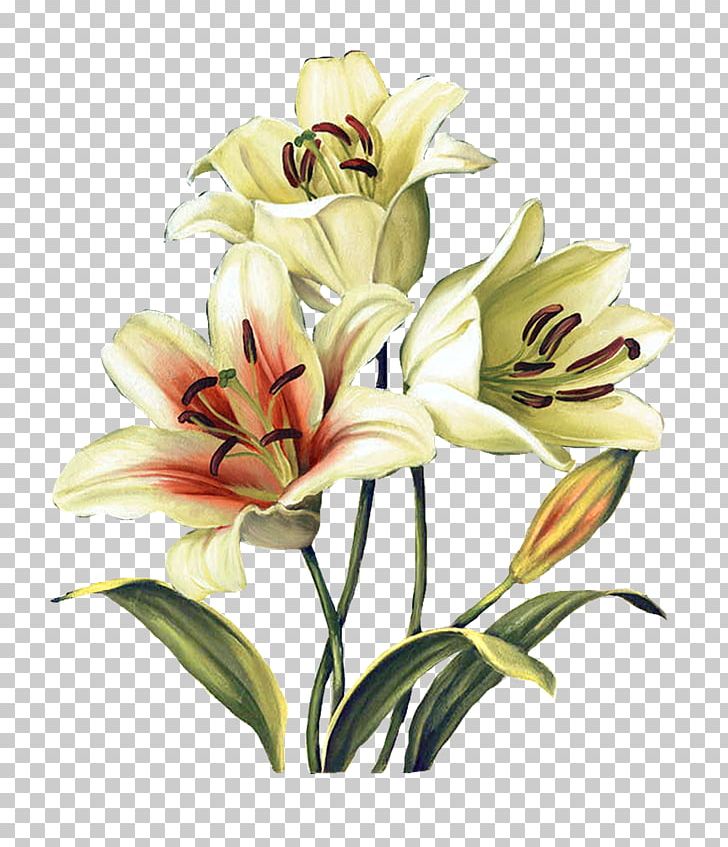 Flower Floral Design Watercolor Painting Art PNG, Clipart, Art, Cut Flowers, Daylily, Decoupage, Floral Design Free PNG Download